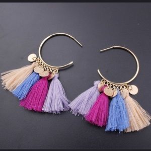 Hoop and Tassle Dangle Earrings